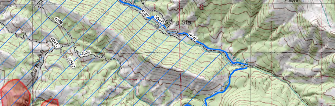 A topographic map of a mountainous area with transect lines