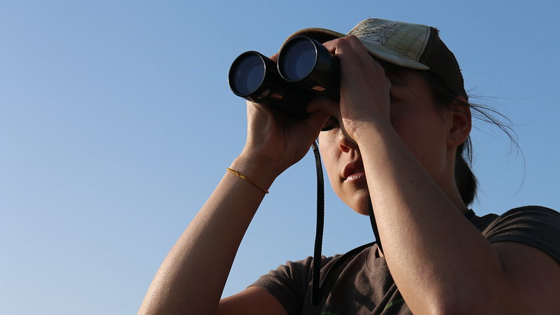 Three rangers seen from below, one looking through binoculars