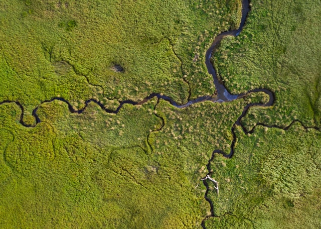 Aerial view of meandering river running through lush grassland