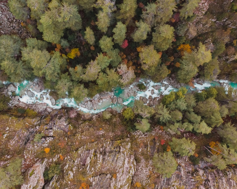 Aerial view of forested river gorge