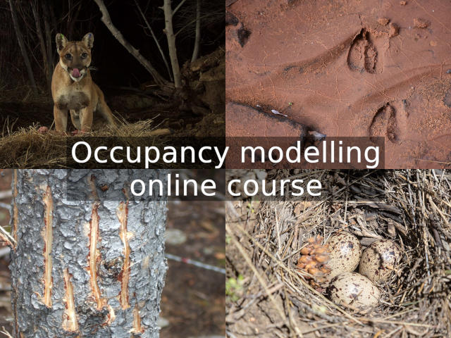 Introduction to Occupancy modelling